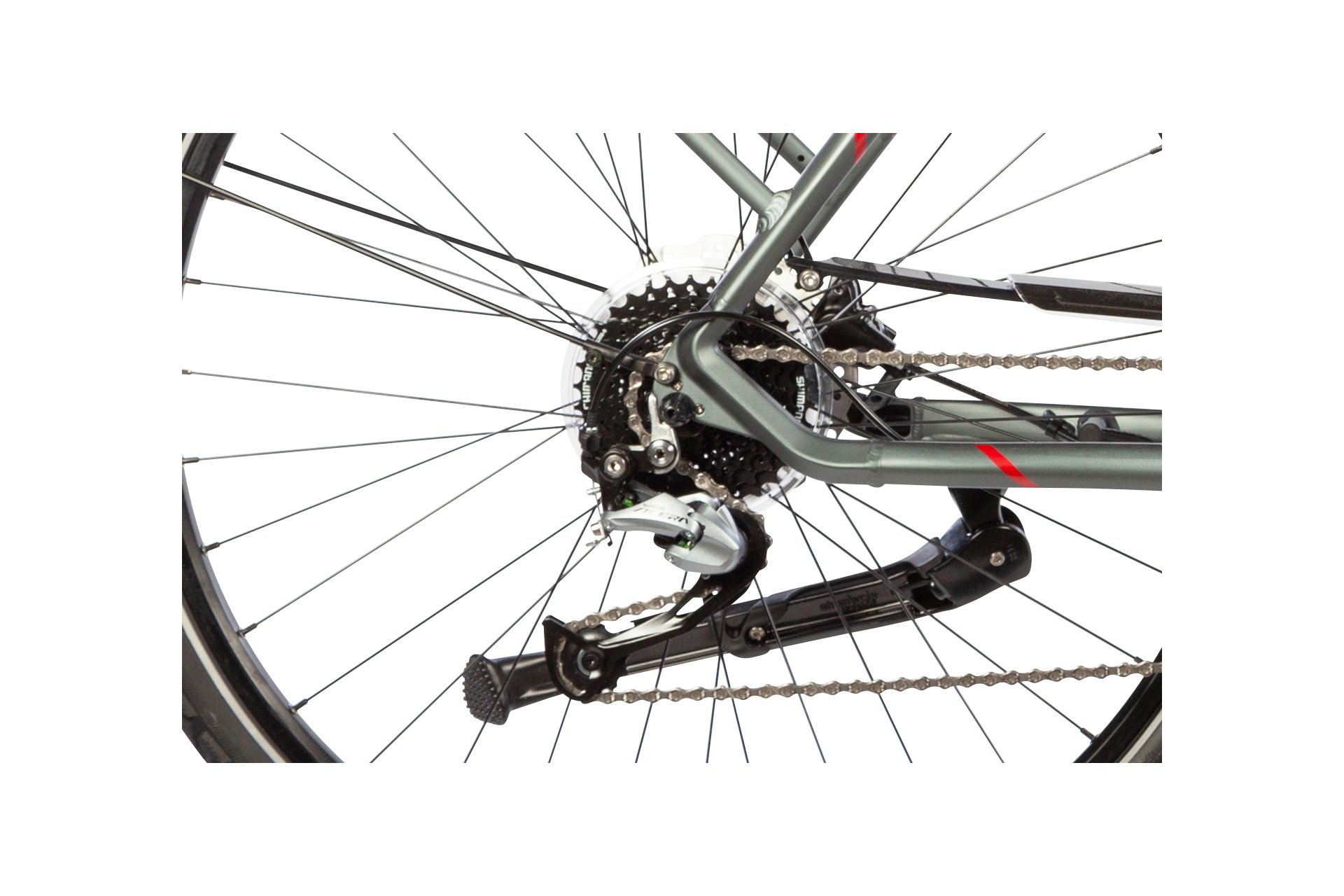 Carver Tour E LTD – 400 Wh – 2023 – 28 Zoll – Diamant – Bild 4